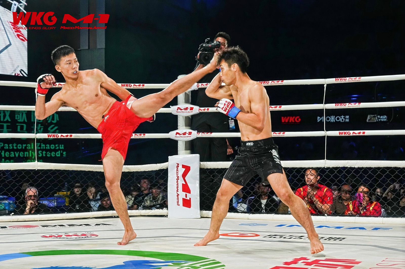 国际A级综合格斗赛事WKG&M-1落地昭苏：以高水平对