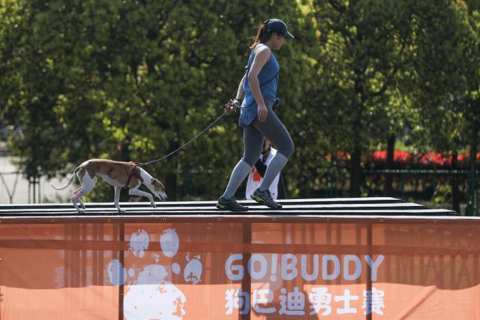 2023狗巴迪勇士赛上海站圆满落幕 犬主组合勇夺精