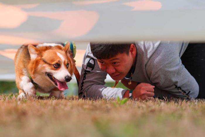 2023狗巴迪勇士赛上海站圆满落幕 犬主组合勇夺精