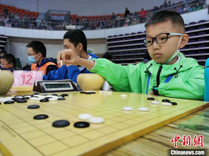 青海省青少年围棋赛规模创纪录 1527名选手角逐段