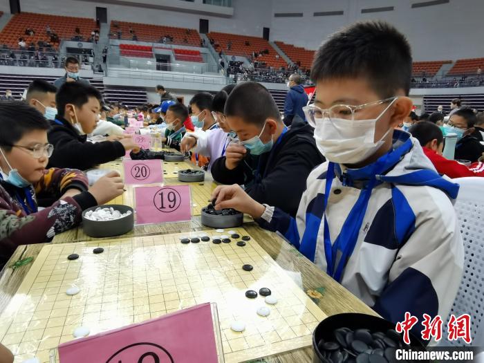 青海省青少年围棋赛规模创纪录 1527名选手角逐段